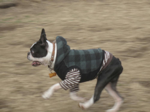 20091229_jonanjima02.jpg