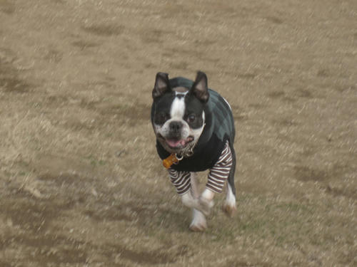 20091229_jonanjima03.jpg