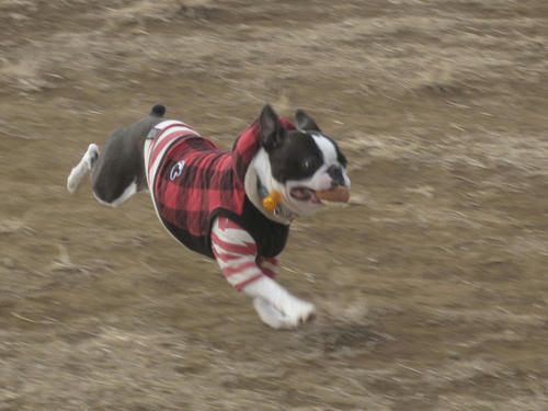20091229_jonanjima04.jpg