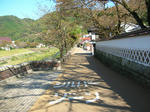 道