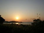 夕日