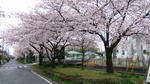 DSCF3511.jpg