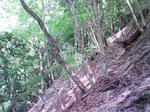 0905151035_1.JPG