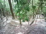 0905151119.JPG