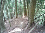 0905151053_2.JPG