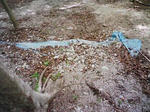 0905151255_1.JPG