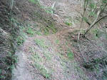 0905151311.JPG