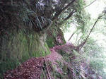 0905230916.JPG