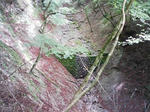 0905230936.JPG