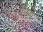 0905230938.JPG