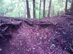0905230941.JPG