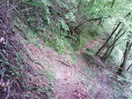 0905230946_2.JPG