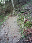 0905230956_2.JPG