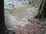 0905151600.JPG