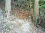 0905231005_3.JPG