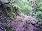 0905231007_2.JPG