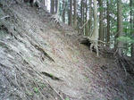 0905231014_1.JPG