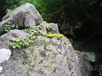 0905231058.JPG
