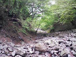 0905231110.JPG