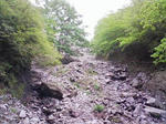 0905231117.JPG