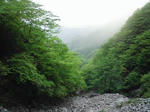 0905231126.JPG