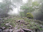 0905231135.JPG