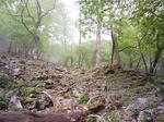 0905231137.JPG