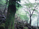 0905231142_2.JPG