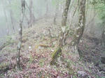 0905231203.JPG