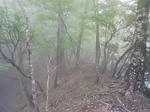 0905231215.JPG