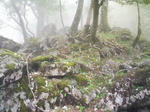 0905231230.JPG