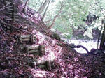 0906070924.JPG