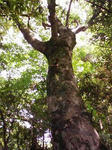 0906070951.JPG