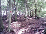 0906071011.JPG