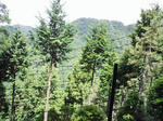 0906071013_2.JPG