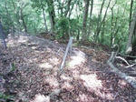 0906071026_1.JPG