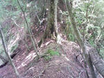 0906071031.JPG