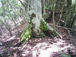 0906071101.JPG