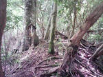0906071103.JPG