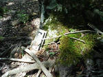 0906071122_1.JPG