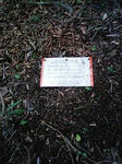 0906071138_2.JPG