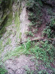 0906071147.JPG