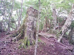 0906071155.JPG