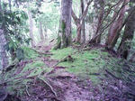 0906071201_2.JPG
