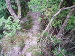 0906071206.JPG