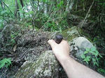 0906071212.JPG