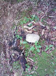 0906071217_1.JPG