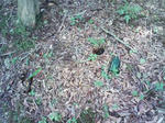 0906071217_2.JPG