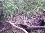 0906071227.JPG