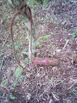 0906071235_1.JPG